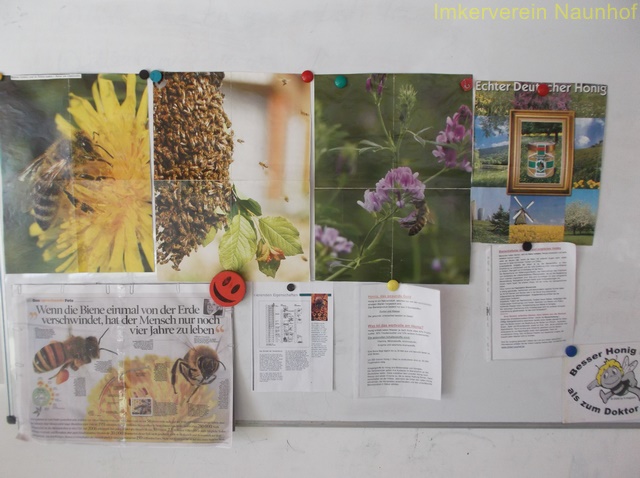 2018 - Projekttage zum Thema Bienen im Ev. Schulzentrum Grimma